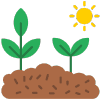 Hectares de Plantações